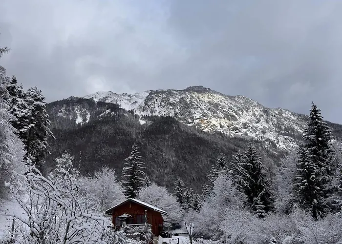 Bauwagen Mit Bergblick