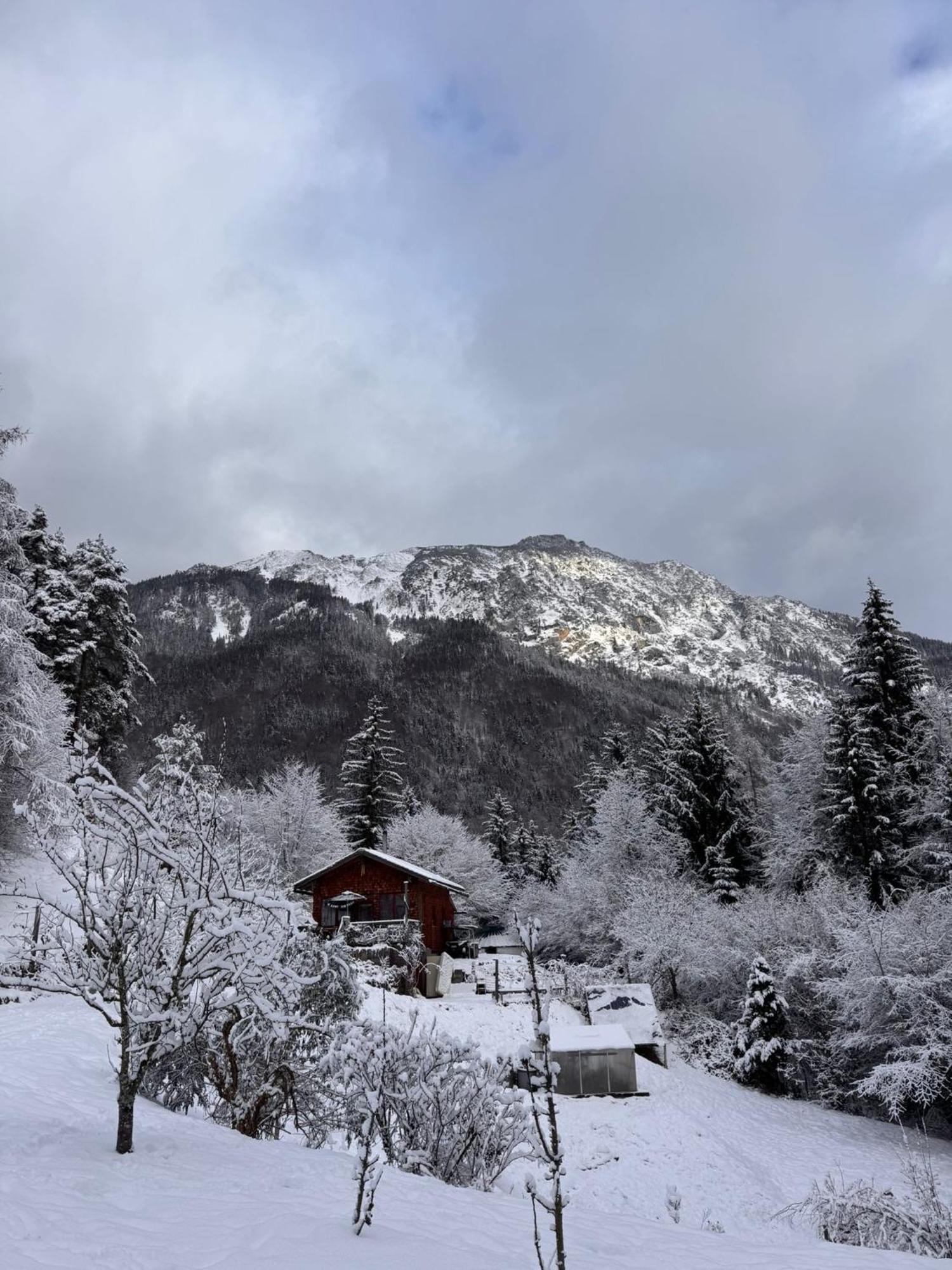 Bauwagen Mit Bergblick Luxury tent Bad Reichenhall