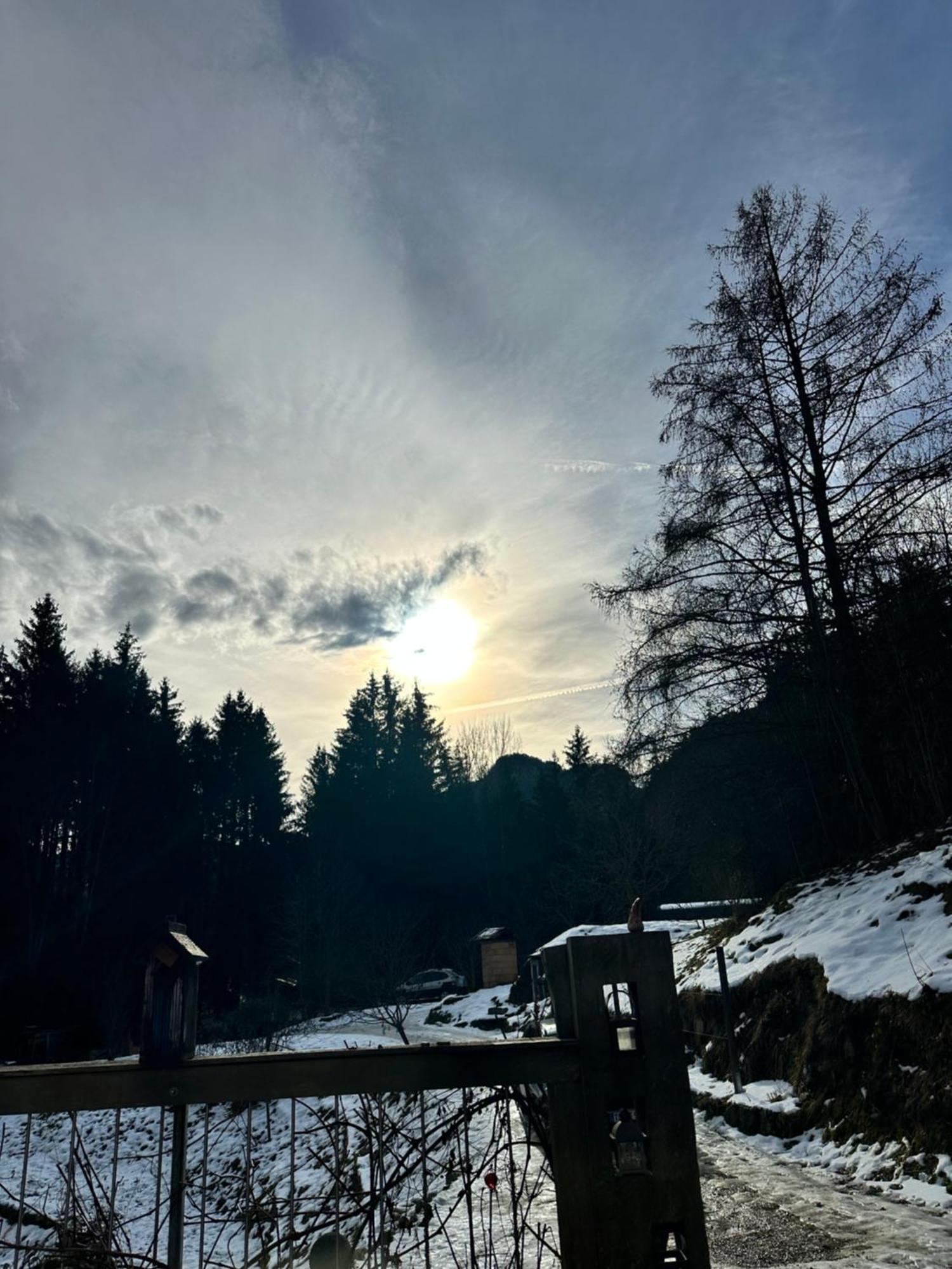 Bauwagen Mit Bergblick * Bad Reichenhall